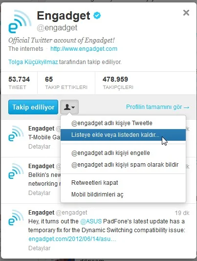 Twitter Lists
